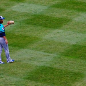 Spathiphyllum